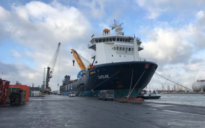 MV Caroline last December in Antwerp